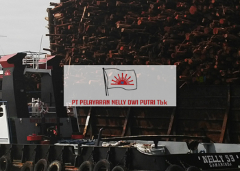industri transportasi laut Indonesia, bisnis pelayaran, Pelayaran Nelly Dwi Putri