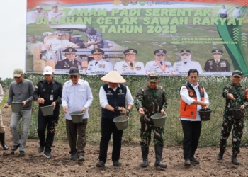 Herman Deru Pimpin Tanam Padi Serentak di Banyuasin, Perkuat Sumsel sebagai Lumbung Pangan Nasional