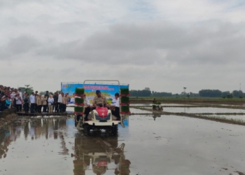 Wamentan Sudaryono dan Gubernur Sumsel Pimpin Percepatan Tanam Modern di OKU Timur