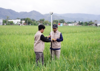 Kementerian ATR/BPN Uji Coba Layanan Pengukuran Terjadwal di 38 Kantor Pertanahan