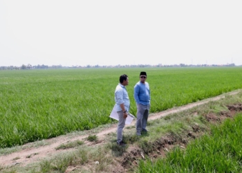 Tinjau Kawasan Industri di Indramayu, Nusron Wahid Pastikan Lahan Tidak Masuk ke LSD