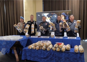 Bongkar Ladang Ganja 20 Hektare di Sumsel, Ribuan Bibit dan 220 Kg Siap Edar Disita