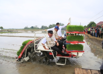 Herman Deru Dampingi Wamentan Sudaryono Kunker ke OKU Timur, Tinjau Irigasi hingga Percepatan Tanam