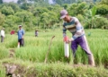 Cara Sederhana Ini Bisa Cegah Sengketa Tanah dengan Tetangga
