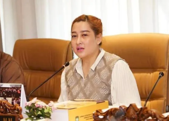 Mayoritas BUMD Sumsel ‘Sakit’, DPRD Sumsel Soroti Minimnya Kontribusi ke PAD