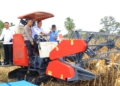 Cik Ujang Hadiri Panen Raya Jagung di OKU Selatan, Dorong Swasembada Pangan Nasional