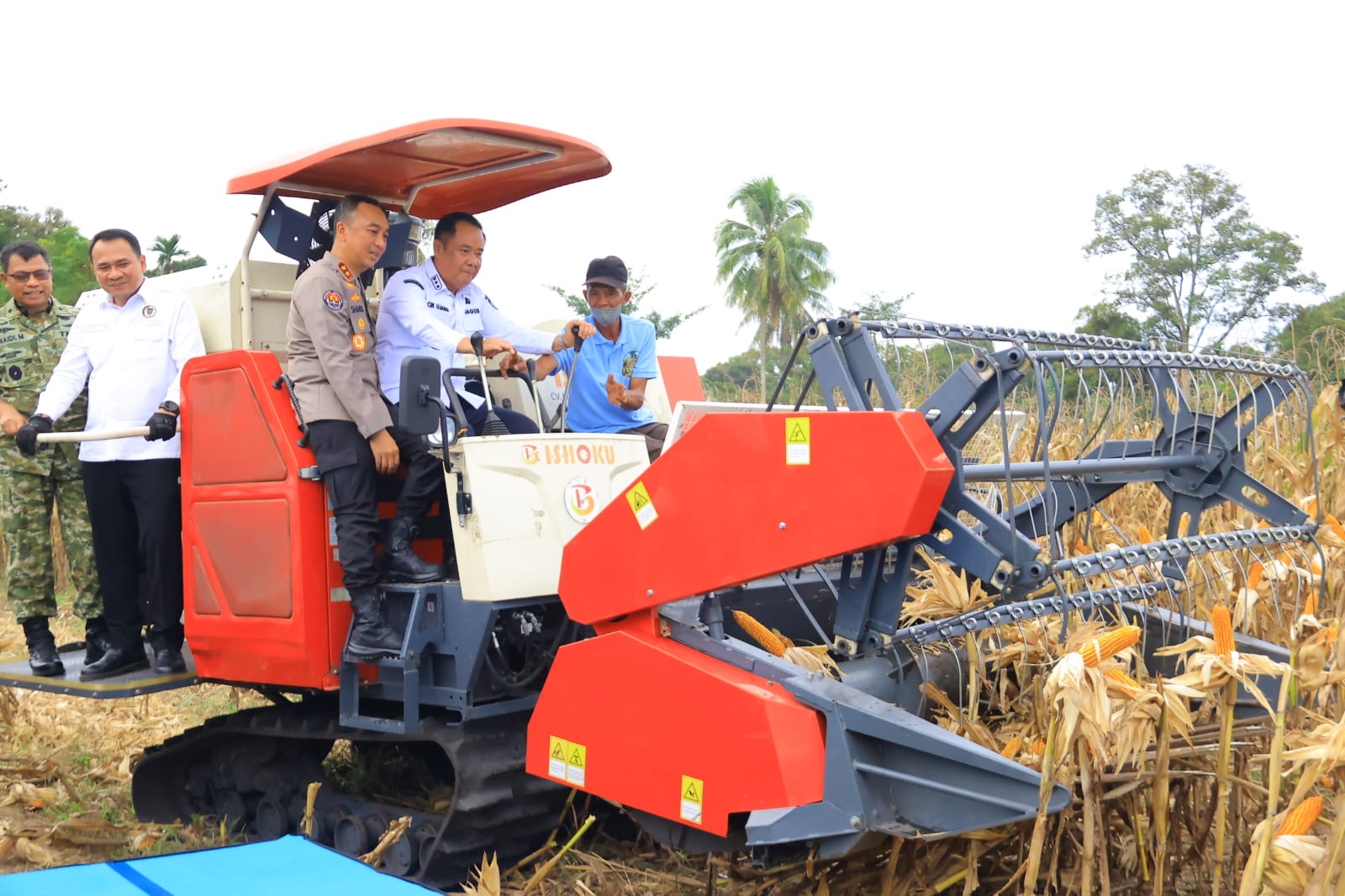 Cik Ujang Hadiri Panen Raya Jagung di OKU Selatan, Dorong Swasembada Pangan Nasional