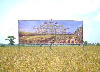 Panen Raya Komoditas Padi, Tebu, dan Kedelai di OKI: Sumsel Perkuat Ketahanan Pangan Nasional