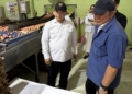 Ketersediaan Telur untuk MBG di Sumsel Diklaim Aman