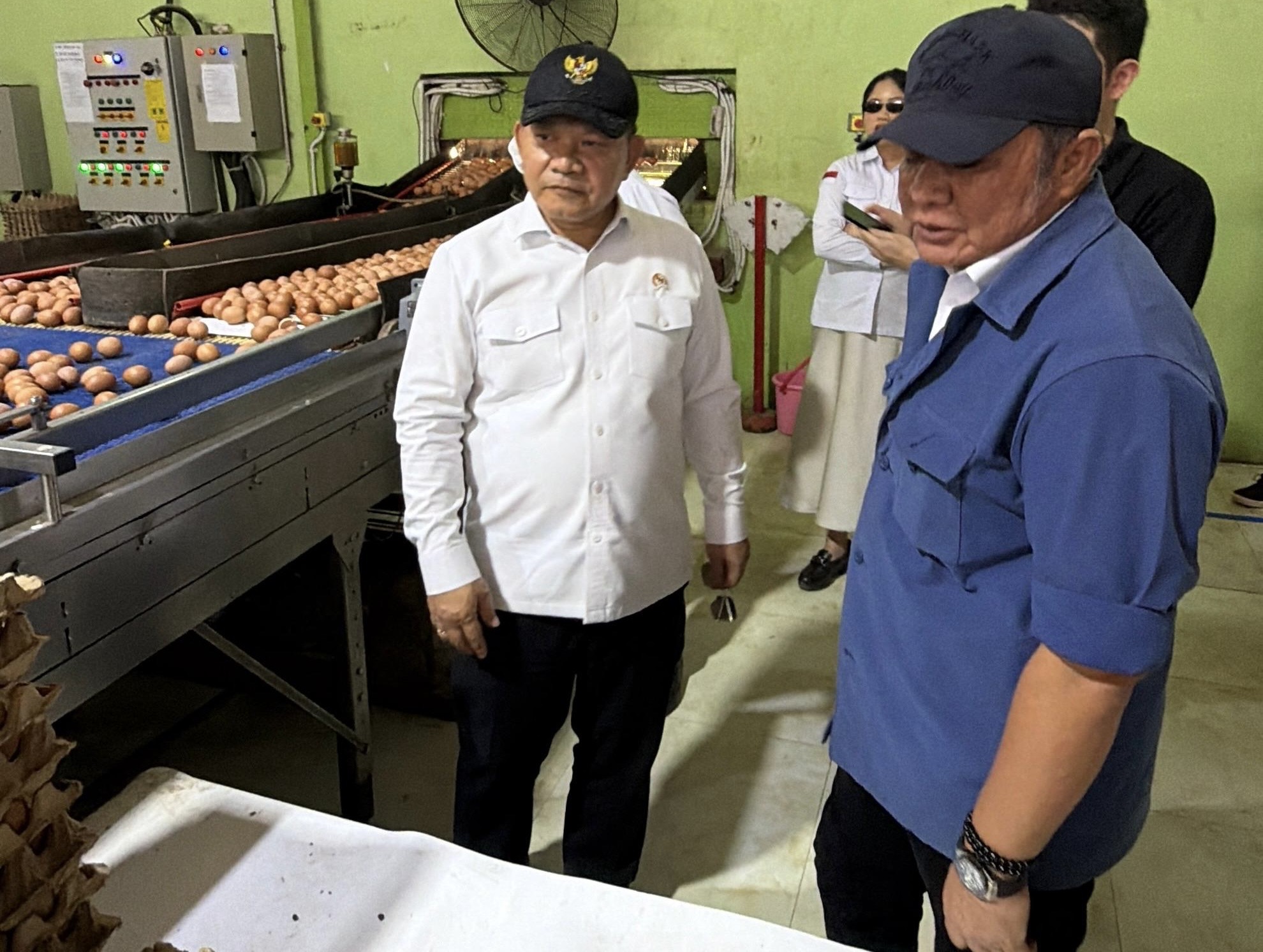 Ketersediaan Telur untuk MBG di Sumsel Diklaim Aman
