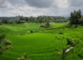 Lampaui Target, LP2B Capai 87,63 Persen di Momen Peringatan 66 Tahun UUPA