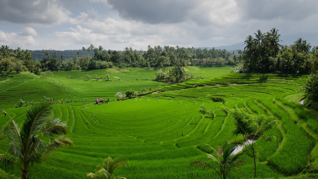 Lampaui Target, LP2B Capai 87,63 Persen di Momen Peringatan 66 Tahun UUPA