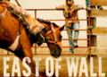 Sinema Western Kontemporer