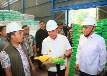 Tinjau Gudang Bulog Lubuklinggau, Herman Deru Pastikan Stok Beras Sumsel Aman hingga 10 Bulan kedepan