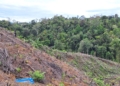 UU Pengaturan Reforma Agraria Buka Jalan Pemulihan Hak Masyarakat dalam Konflik Pertanahan