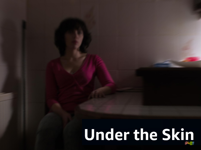 Under the Skin 2013